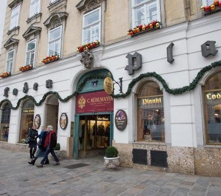 Top Apartment Michaelerplatz Vienna Exterior photo